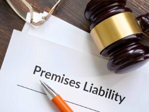 Remises Liability